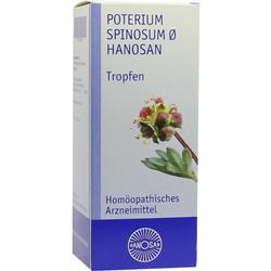 POTERIUM spinosum Urtinktur D 1 POTERIUM spinosum Urtinktur D 1