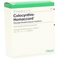 COLOCYNTHIS HOMACCORD Ampullen COLOCYNTHIS HOMACCORD Ampullen