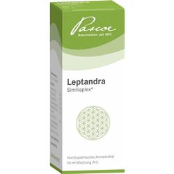 LEPTANDRA SIMILIAPLEX LEPTANDRA SIMILIAPLEX