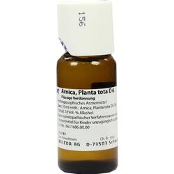 ARNICA PLANTA tota D 6 Dilution