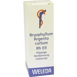 BRYOPHYLLUM ARGENTO cultum Rh D 3 Dilution BRYOPHYLLUM ARGENTO cultum Rh D 3 Dilution