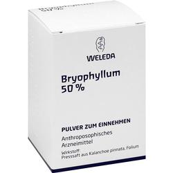 BRYOPHYLLUM 50% Pulver zum Einnehmen