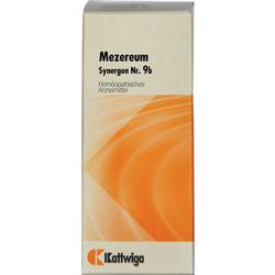SYNERGON KOMPLEX 9b Mezereum Tropfen SYNERGON KOMPLEX 9b Mezereum Tropfen