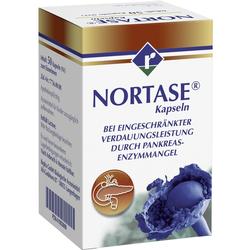 NORTASE Kapseln NORTASE Kapseln