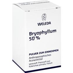 BRYOPHYLLUM 50% Pulver zum Einnehmen