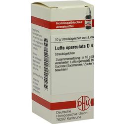 LUFFA OPERCULATA D 4 Globuli LUFFA OPERCULATA D 4 Globuli