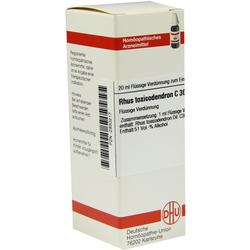 RHUS TOXICODENDRON C 30 Dilution