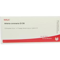 ARTERIA CORONARIA GL D 8 Ampullen