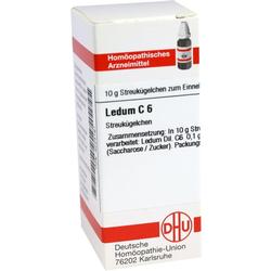 LEDUM C 6 Globuli LEDUM C 6 Globuli