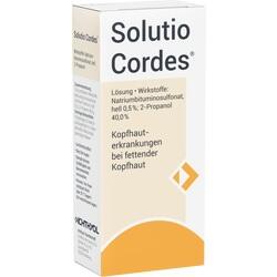 SOLUTIO CORDES Lösung SOLUTIO CORDES Lösung
