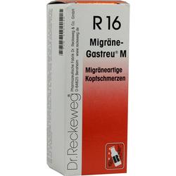 MIGRÄNE-GASTREU M R16 Mischung MIGRÄNE-GASTREU M R16 Mischung