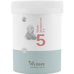 BIOCHEMIE Pflüger 5 Kalium phosphoricum D 6 Tabl. BIOCHEMIE Pflüger 5 Kalium phosphoricum D 6 Tabl.
